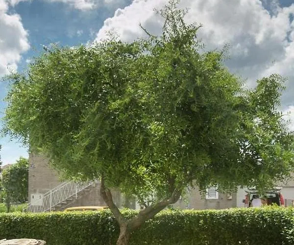 With Parking Space Kastel Luksic, - 21073