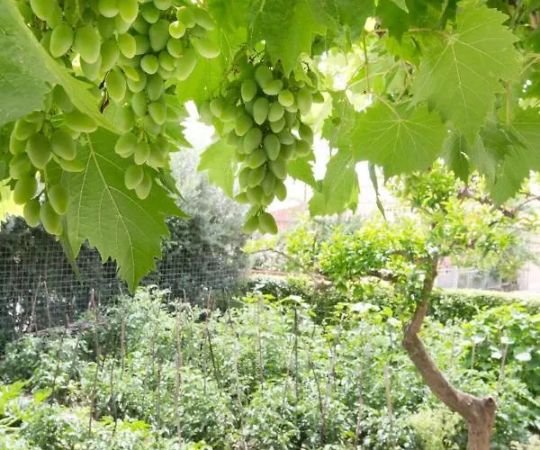 With Parking Space Kastel Luksic, - 21073 Appartement *